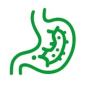 stomac